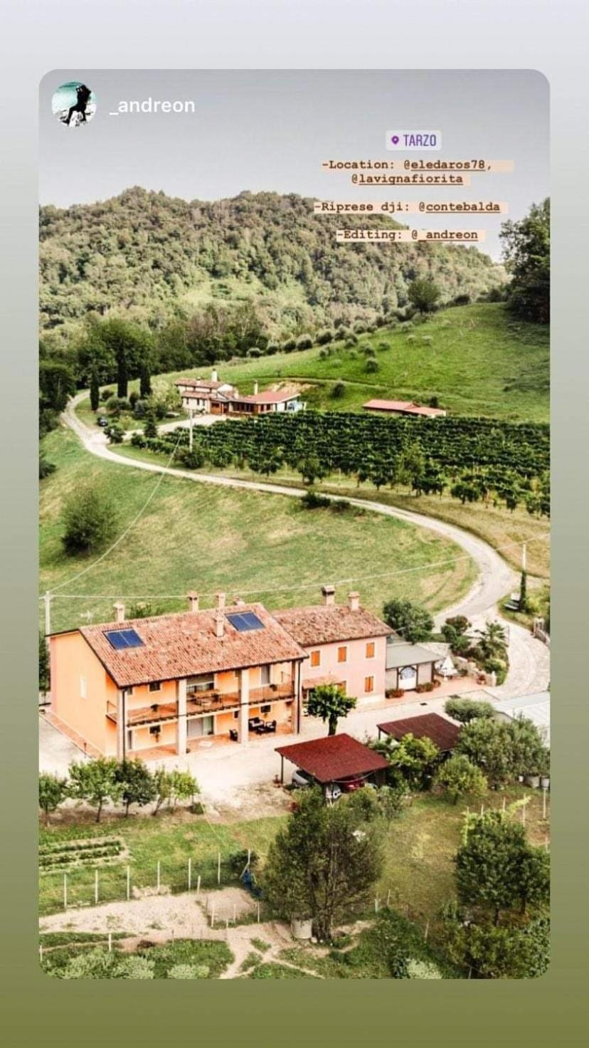 La Vigna Fiorita B&B Tarzo Екстер'єр фото
